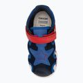 Sandali Geox Iupidoo navy/royal per bambini 5