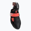 Scarpette da arrampicata donna La Sportiva Theory hibiscus/black 5
