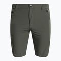 Pantaloncini da trekking CMP da uomo, verde 31T5637/E319