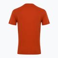 T-shirt da uomo EA7 Emporio Armani Visibility Cotton Crew al tè rooibos 2