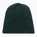 Cappello invernale EA7 Emporio Armani Mountain Logo Series Big Beanie silver pine 4