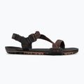 Sandali a piedi nudi da uomo Xero Shoes Z-Trail EV multi / marrone 2
