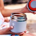 Hydro Flask Barattolo isolato per alimenti 590 ml mora 3