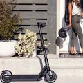 Scooter elettrico Bird One 9" nero 8