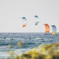 Cabrinha Contra kite kitesurf giallo K2KOCTR3S017002 5