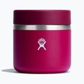Barattolo isolato per alimenti Hydro Flask da 590 ml, contenitore snapper