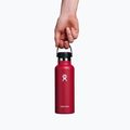 Bottiglia termica Hydro Flask Standard Flex 530 ml Goji 4