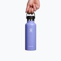 Bottiglia termica Hydro Flask Standard Flex 530 ml lupino 4