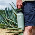 Bottiglia Hydro Flask Standard Flex 532 ml agave 3
