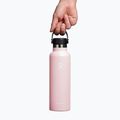 Bottiglia da viaggio Hydro Flask Standard Flex 620 ml trillium 5