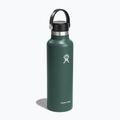 Bottiglia turistica Hydro Flask Standard Flex 620 ml abete 2