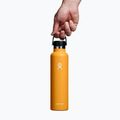 Hydro Flask Standard Flex Cap bottiglia termica 710 ml fossile 3