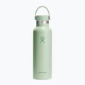Bottiglia termica Hydro Flask Standard Flex 620 ml aloe