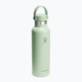 Bottiglia termica Hydro Flask Standard Flex 620 ml aloe 2