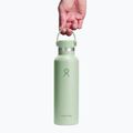 Bottiglia termica Hydro Flask Standard Flex 620 ml aloe 3