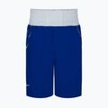 Pantaloncini da boxe Nike da uomo, royal