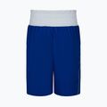 Pantaloncini da boxe Nike da uomo, royal 3