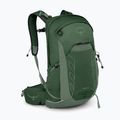 Zaino da trekking Osprey Talon 22 l verde canopy / pine leaf da uomo 2