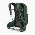 Zaino da trekking Osprey Talon 22 l verde canopy / pine leaf da uomo 4