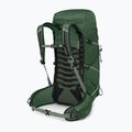 Zaino da escursionismo Osprey Talon 33 l verde canopy/foglia di pino per uomo 2