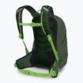 Zaino da trekking Osprey Talon Jr 11 l verde canopy per bambini 2