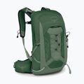 Zaino da trekking Osprey Talon 11 l verde canopy/foglia di pino per uomo 2