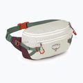 Marsupio cintura Osprey Transporter Waist Pack 3 l mystery white/moody burgundy 2
