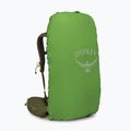 Zaino da trekking Osprey Kestrel 38 l moss green 5