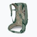 Zaino da trekking da uomo Osprey Stratos 24 l pine leaf 4