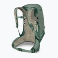 Zaino da trekking da uomo Osprey Stratos 34 l pine leaf 4