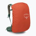 Zaino da trekking da uomo Osprey Stratos 34 l pine leaf 5
