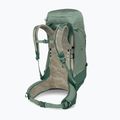 Zaino da trekking da uomo Osprey Stratos 44 l pine leaf 4