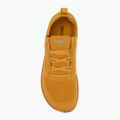 Scarpe da uomo a piedi nudi Xero Shoes Nexus Knit oro 5