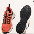 Jack Wolfskin scarpe da trekking da uomo Dromoventure Athletic Low barn rosso 12