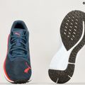 Scarpe da corsa da uomo PUMA Aviator Profoam Sky Better evening sky/firelight 14