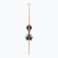 Sci alpini + attacchi Völkl Peregrine 76 + RMotion T 12 3