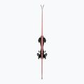 Sci alpini + attacchi Völkl Peregrine 72 Green + RMotion T 12 3
