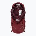 Zaino trekking donna Lowe Alpine AirZone Trek ND43:50 43 + 7 l lampone 4