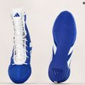 Scarpe da boxe adidas Box Hog 4 blu navy HP9612 19