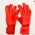 Guanti da portiere RG Snaga Rosso rosso 6