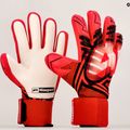 4keepers Evo Vera NC guanti da portiere rosso/nero/bianco 4