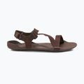 Sandali a piedi nudi da uomo Xero Shoes Z-Trek marrone 2