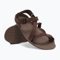 Sandali a piedi nudi da uomo Xero Shoes Z-Trek marrone 8