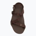 Sandali a piedi nudi da uomo Xero Shoes Z-Trek marrone 5