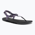 Sandali a piedi nudi da donna Xero Shoes H-Trail sage purple HTW-SGPU