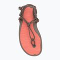 Sandali a piedi nudi da donna Xero Shoes Aqua Cloud moel/sunset coral 5