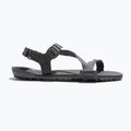 Sandali a piedi nudi da uomo Xero Shoes Z-Trail EV grigio acciaio/asfalto
