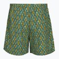 Royal Robbins All-In pantaloni da trekking da uomo algae flash pt 2