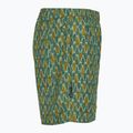 Royal Robbins All-In pantaloni da trekking da uomo algae flash pt 3
