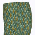 Royal Robbins All-In pantaloni da trekking da uomo algae flash pt 4